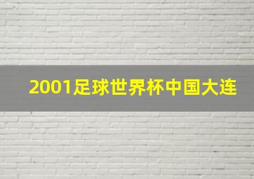 2001足球世界杯中国大连