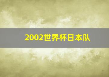 2002世界杯日本队