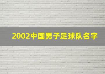 2002中国男子足球队名字