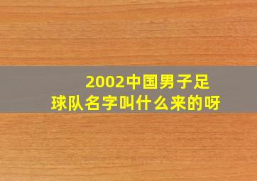 2002中国男子足球队名字叫什么来的呀