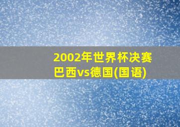 2002年世界杯决赛巴西vs德国(国语)