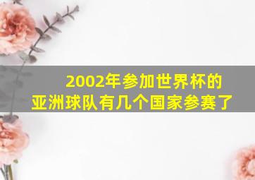 2002年参加世界杯的亚洲球队有几个国家参赛了