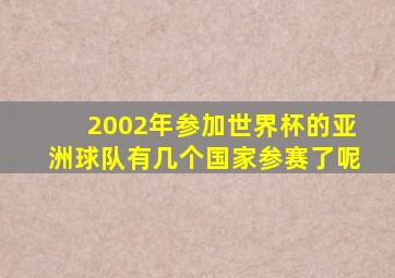 2002年参加世界杯的亚洲球队有几个国家参赛了呢