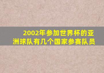 2002年参加世界杯的亚洲球队有几个国家参赛队员