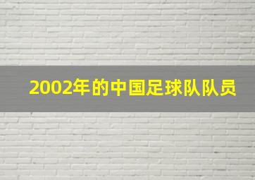 2002年的中国足球队队员