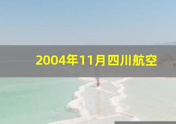 2004年11月四川航空