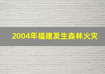 2004年福建发生森林火灾