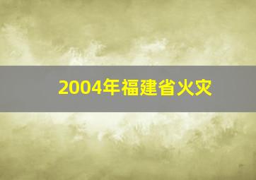 2004年福建省火灾