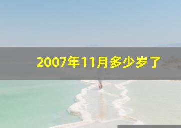 2007年11月多少岁了