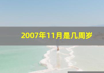 2007年11月是几周岁