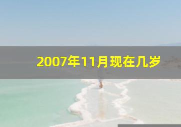 2007年11月现在几岁