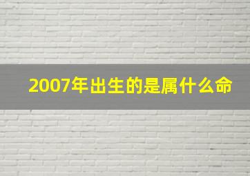 2007年出生的是属什么命