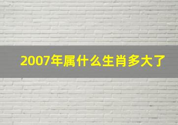 2007年属什么生肖多大了