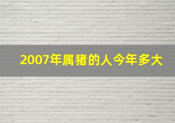 2007年属猪的人今年多大