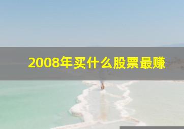 2008年买什么股票最赚