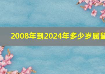 2008年到2024年多少岁属鼠