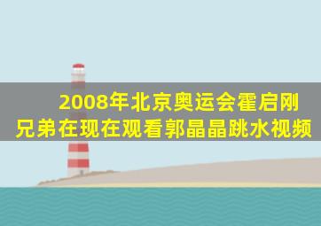 2008年北京奥运会霍启刚兄弟在现在观看郭晶晶跳水视频