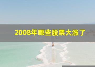 2008年哪些股票大涨了