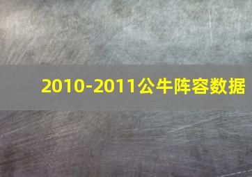 2010-2011公牛阵容数据