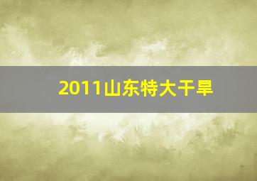 2011山东特大干旱