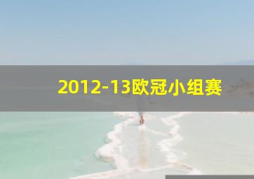 2012-13欧冠小组赛