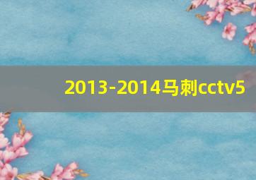 2013-2014马刺cctv5