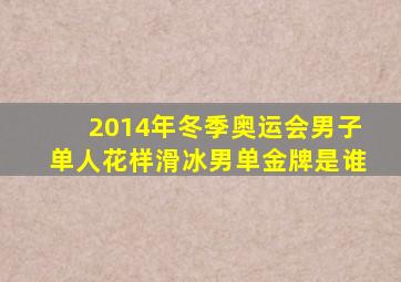 2014年冬季奥运会男子单人花样滑冰男单金牌是谁