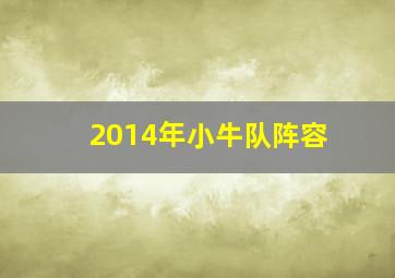 2014年小牛队阵容