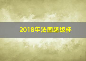 2018年法国超级杯