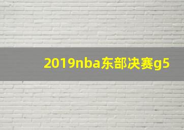 2019nba东部决赛g5