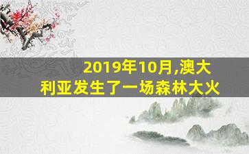 2019年10月,澳大利亚发生了一场森林大火