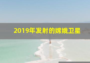 2019年发射的嫦娥卫星