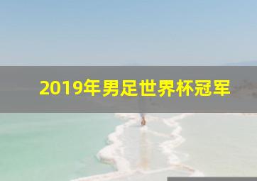 2019年男足世界杯冠军