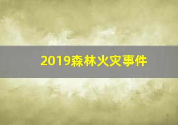 2019森林火灾事件