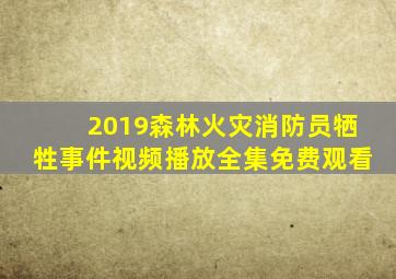 2019森林火灾消防员牺牲事件视频播放全集免费观看