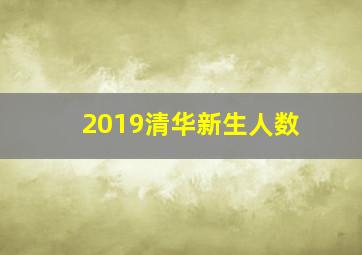 2019清华新生人数