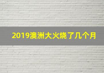 2019澳洲大火烧了几个月