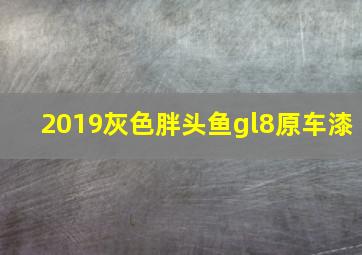 2019灰色胖头鱼gl8原车漆