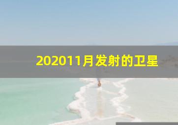 202011月发射的卫星