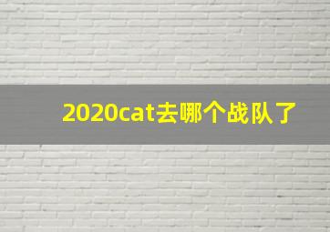 2020cat去哪个战队了