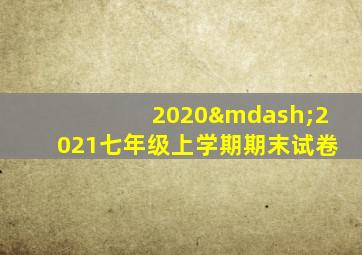 2020—2021七年级上学期期末试卷