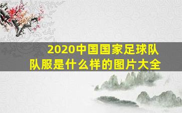 2020中国国家足球队队服是什么样的图片大全