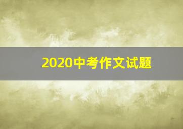 2020中考作文试题