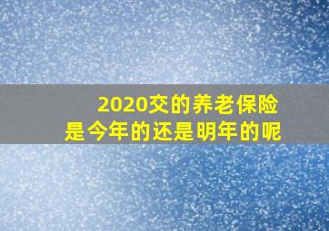 2020交的养老保险是今年的还是明年的呢