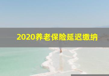 2020养老保险延迟缴纳