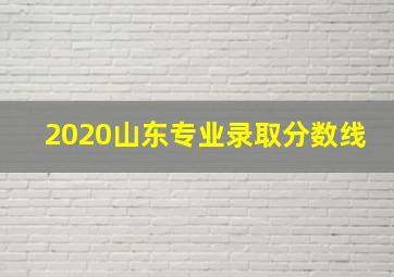 2020山东专业录取分数线