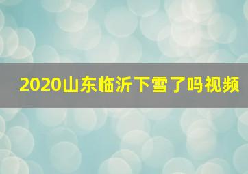 2020山东临沂下雪了吗视频