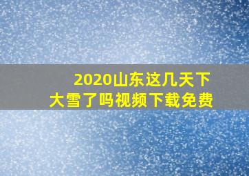 2020山东这几天下大雪了吗视频下载免费