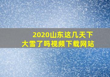 2020山东这几天下大雪了吗视频下载网站