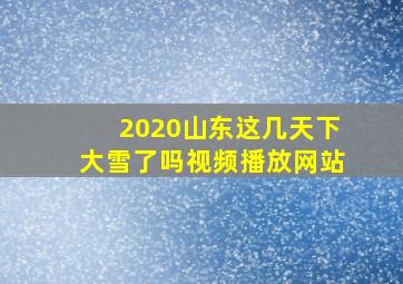 2020山东这几天下大雪了吗视频播放网站